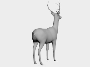Deer 3D मॉडल
