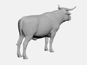 Ox 3D Model