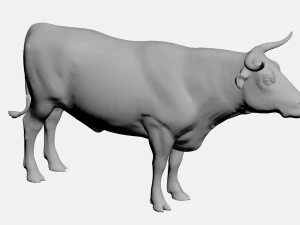 Ox 3D Model