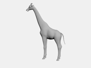 Giraffe Modello 3D
