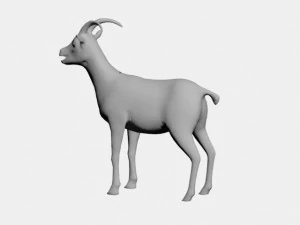 Capra Modello 3D