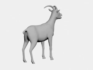 Capra Modello 3D