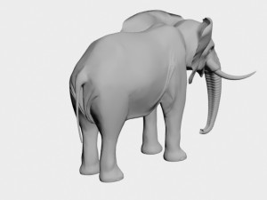Elephant Modelo 3D