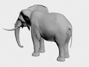 Elefante Modello 3D