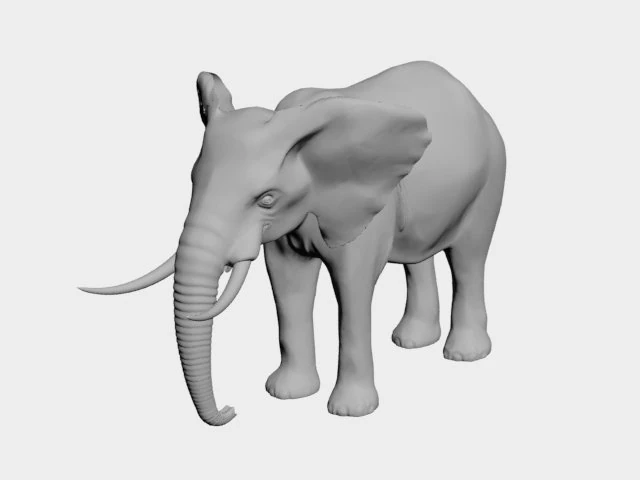 Elefante Modello 3D .c4d .max .obj .3ds .fbx .stl .blend 