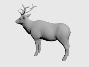 Alce Modello 3D