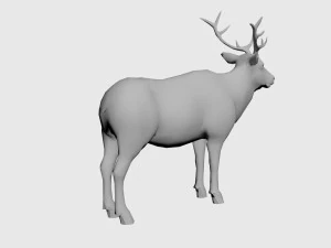 Alce Modello 3D