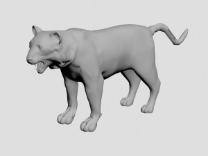 Tiger 3D मॉडल