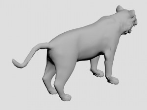 Tiger Modello 3D