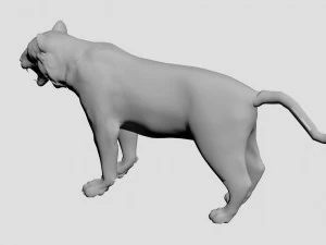 Tiger 3D Model