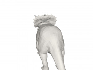 Dinosaur 3Dモデル