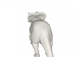 Dinosaur 3D Model