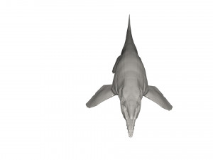 Dinosaur 3D Model