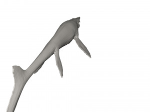 Dinosaur 3D Model