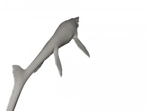 Dinosaur 3D Model