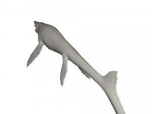 Dinosaur 3D Model