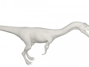 Dinosaur 3D Model