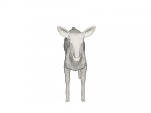 Deer Wild animal Model 3D