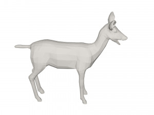 Deer Wild animal Model 3D