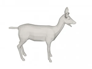Deer Wild animal 3D Model