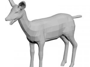 Deer Wild animal 3D Model