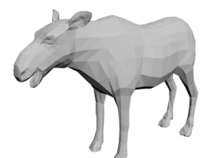 Mosse Wild animal 3D Model