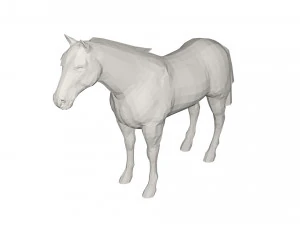 Cavallo Modello 3D