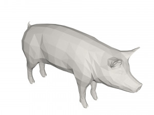 Pig 3Dモデル