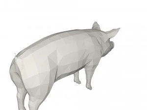 Pig 3D Model