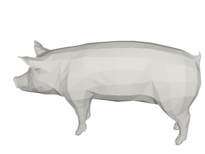 Pig 3Dモデル