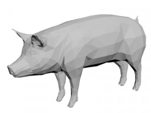 Pig 3D Model