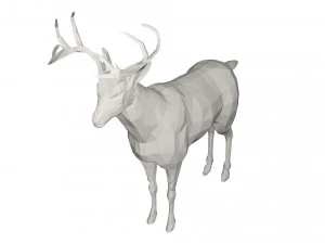 Cervo - animale selvatico Modello 3D