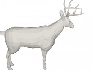 Deer - wild animal 3D Model