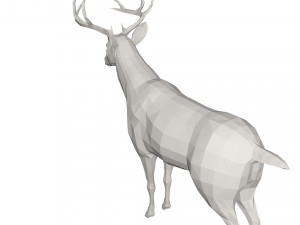 Deer - wild animal 3D 모델