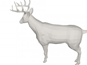 Deer - wild animal 3D 모델
