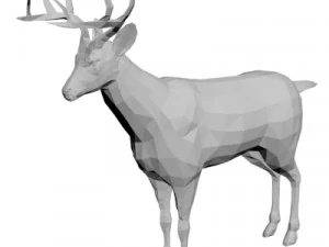 Deer - wild animal 3D Model