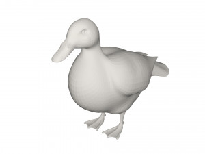 Duck 3Dモデル