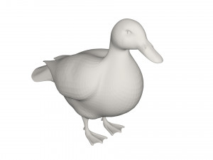 Duck 3D Model