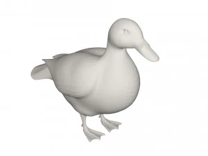Duck 3D Model