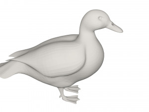 Duck 3D Model