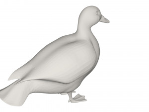 Duck 3D Model