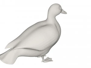 Duck 3D Model