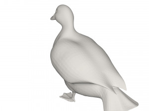 Duck 3D Model