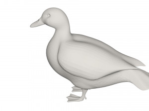 Duck 3D Model