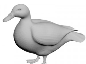 Duck 3D Model