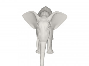 Elephant 3D मॉडल