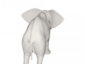 Elephant 3D मॉडल