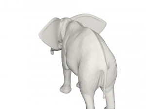 Elephant 3D Model