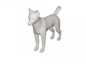 Husky 3D Model