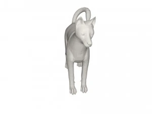 Husky 3D Model